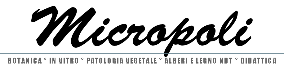 Logo Micropoli